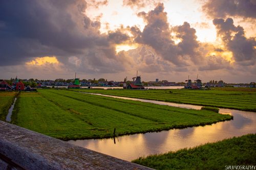 Zaanse & Bucharest