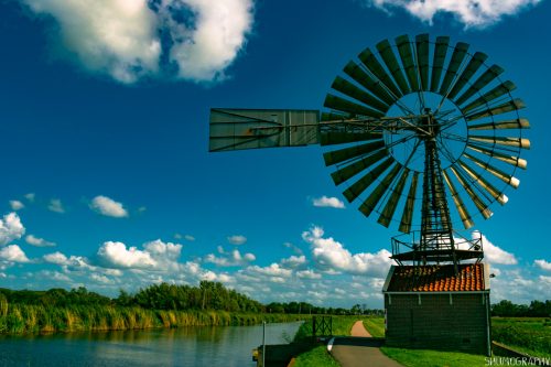 Zaanse & Bucharest